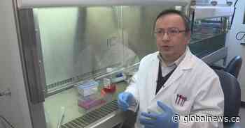 Quebec virologist battles COVID-19 coronavirus from Saint-Hyacinthe - Globalnews.ca