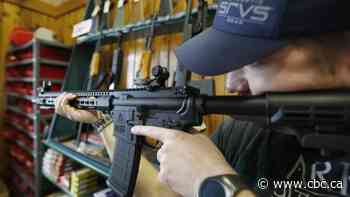 Gun shop owners left 'holding the bag' by the unexpected scope of Ottawa firearms ban