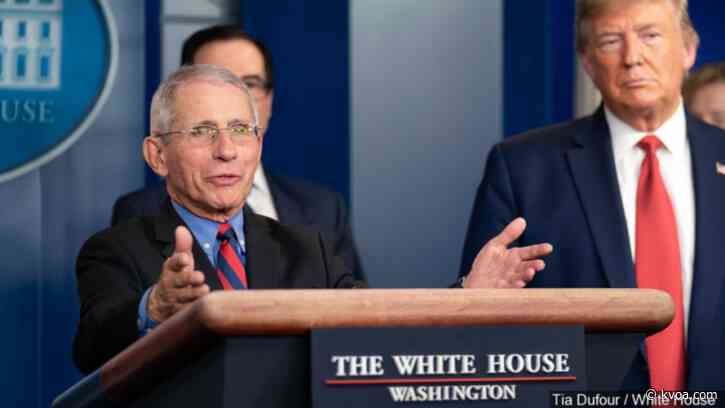 Fauci: Hopeful of vaccine trials by winter