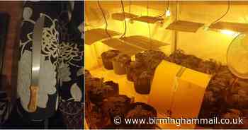 Police issue update as machete and 200 cannabis plants found in home