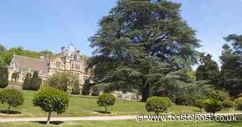 National Trust 'working on plans to reopen'