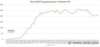 New charts show WNY, Erie County COVID-19 hospitalizations since March