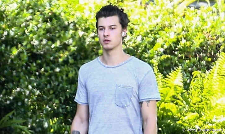 Shawn Mendes Pushes His Hair Back for a Solo Walk