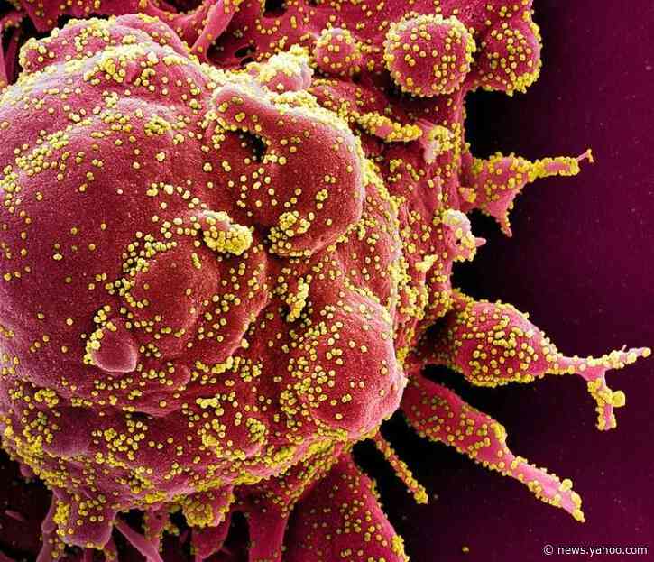 Zinc-hydroxychloroquine found effective in some COVID-19 patients: study