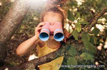 Girl Scouts of Southern Arizona announce virtual summer camp