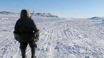 Nunavut hunters mostly unaffected by gun ban, as leaders criticize timing