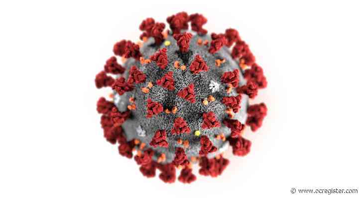 Why does immune response to coronavirus save some, kill others?