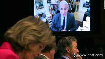 New York Times journalist: Fauci hearing was terrifying
