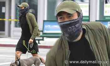 Henry Golding takes his rescue dog Stella for a walk... after the pit bull attacked another dog