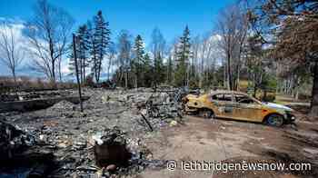 Neighbour reported mass shooter's domestic violence, weapons to police - Lethbridge News Now