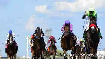 Lawson: Woodbine Racetrack looking to restart horse racing next month - Lethbridge News Now