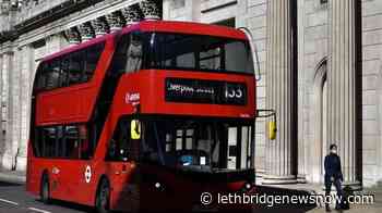 Fauci warns of 'suffering and death' if US reopens too soon - Lethbridge News Now