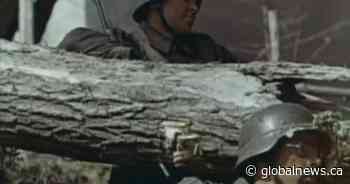 Lethbridge remembers 75th anniversary of WWII’s end - Globalnews.ca