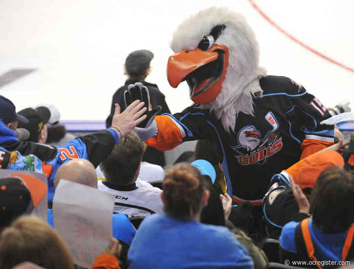 Gulls, Reign disappointed there will be no AHL playoffs