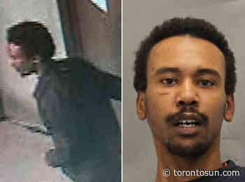 'Dangerous' man missing from Toronto's Queen and Ossington area - Toronto Sun