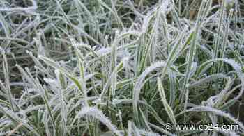 Environment Canada issues frost advisory for Toronto - CP24 Toronto's Breaking News
