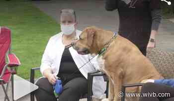 Local nurse, celebrating her recovery from the coronavirus, watched the flyover salute from Air National Guard