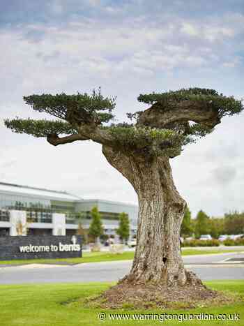 Bents to reopen its garden centre this week - Warrington Guardian