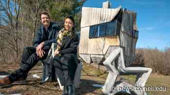 Cabin project upcycles ash trees for sustainable architecture - Cornell Chronicle