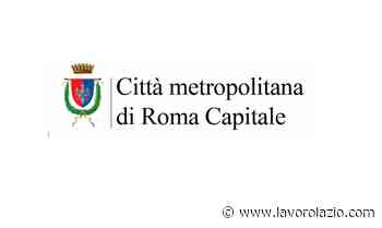 Città metropolitana Roma: sospensione temporanea del sito Internet istituzionale - LavoroLazio.com
