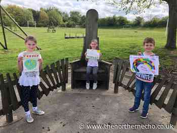 Children from County Durham school part of global friendship tree - The Northern Echo