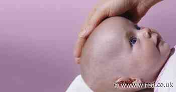 Parents are hiring jets to see their surrogate children for the first time