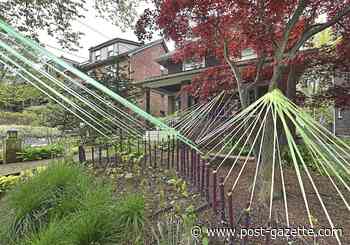 Art project consumes entire Squirrel Hill street