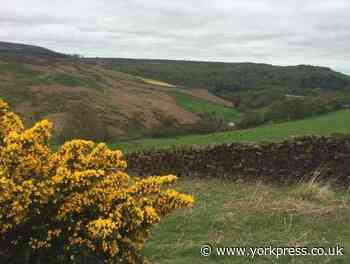 Advice for anyone heading to North York Moors or Yorkshire Dales