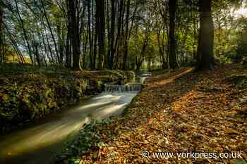 Temperatures on the rise in North Yorkshire