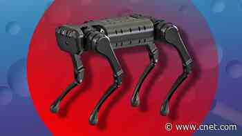 Watch this robotic dog backflip video     - CNET