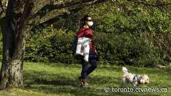 Toronto preparing to reopening off-leash dog areas, mayor says