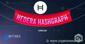 Bittrex to List Hedera Hashgraph for U.S. & International Customers - CryptoNewsZ