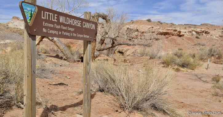 Bodies of 7-year-old and 3-year-old Utah girls found after they died in Emery County flash flood