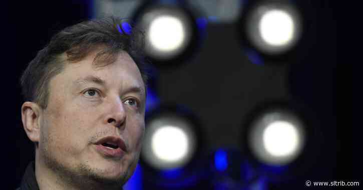Elon Musk becomes champion of defying virus stay-home orders