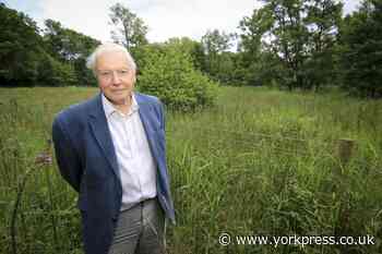 Askham Bog saved - planning inspector dismisses appeal to build next to Bog