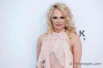 Pamela Anderson Releases Range Of Vegan Apple Leather Handbags - Raise Vegan