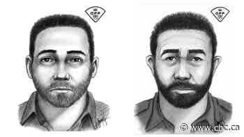 Fake officers doing traffic stops in southwestern Ontario, police warn