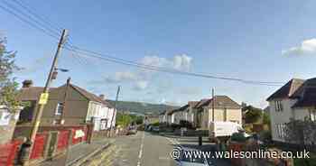 Police deal with large gathering after rumours about alleged paedophile