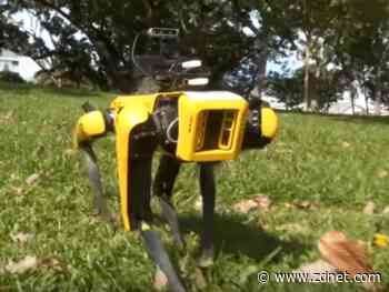 No, robot dog, I won't be policed by you