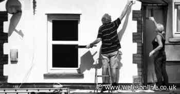 Lockdown life from the front doorstep of a professional photographer