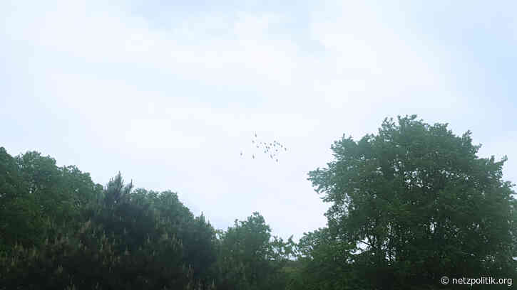 Was vom Tage übrig blieb: Biometrie, Beschwerden und Behandlungskosten