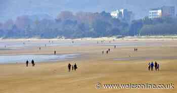 Posters have appeared advertising an anti-lockdown gathering in Swansea