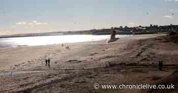 Why South Tyneside's beach car parks are still closed despite new travel rules