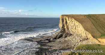 Four people sent home by police after paragliding at Welsh beauty spot