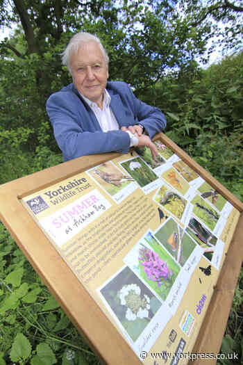 'A treasure has been saved' - Sir David Attenborough