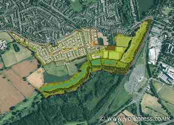 'Delight' as 500-homes plan near Askham Bog rejected