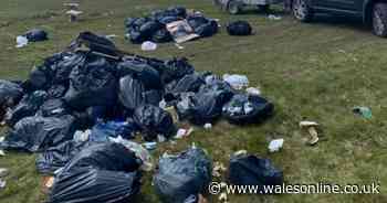 Dozens of bags of rubbish dumped on mountain just two days after it's cleared