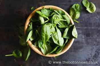 Morrisons recalls basil, parsley and other herbs over listeria fears - The Bolton News