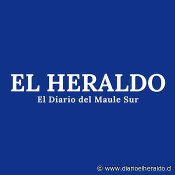 Investigan muerte de ballena jorobada en costas de Calbuco - Diario El Heraldo Linares