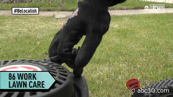 A lawn care business run by restaurant employees